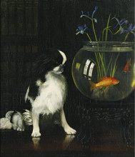 Картина "japanese chin and goldfish" художника "поуп александр"