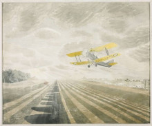 Картина "tiger moth" художника "равилиус эрик"