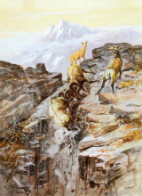 Репродукция картины "big horn sheep" художника "рассел чарльз марион"