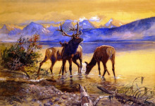 Репродукция картины "elk in lake mcdonald" художника "рассел чарльз марион"