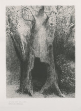 Репродукция картины "i plunged into solitude. i dwelt in the tree behind me. (plate 9)" художника "редон одилон"