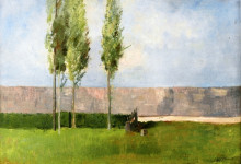 Репродукция картины "the meadow" художника "редон одилон"