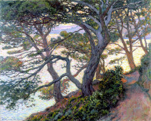 Репродукция картины "pines of rayol" художника "рейссельберге тео ван"