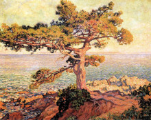 Репродукция картины "pine by the mediterranean sea" художника "рейссельберге тео ван"