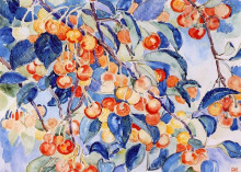 Репродукция картины "cherries" художника "рейссельберге тео ван"