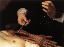 Картина "the anatomy lesson of dr. nicolaes tulp(fragment)" художника "рембрандт"