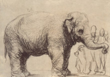 Репродукция картины "an elephant" художника "рембрандт"