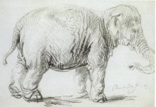 Копия картины "hansken" художника "рембрандт"