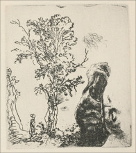 Копия картины "sketch of a tree" художника "рембрандт"