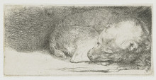 Репродукция картины "sleeping puppy" художника "рембрандт"