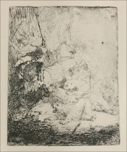 Копия картины "a small lion hunt with a lioness" художника "рембрандт"