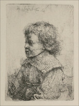 Копия картины "portrait of a boy" художника "рембрандт"