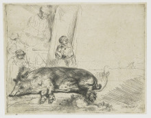Репродукция картины "the hog" художника "рембрандт"