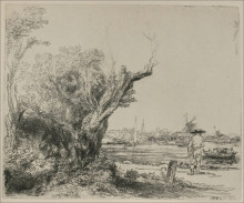 Репродукция картины "view of omval, near amsterdam" художника "рембрандт"