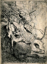 Репродукция картины "the small lion hunt" художника "рембрандт"