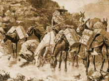 Репродукция картины "mule train crossing the sierras" художника "ремингтон фредерик"