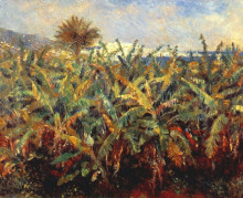 Копия картины "field of banana trees" художника "ренуар пьер огюст"
