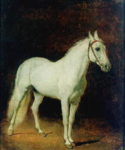 Репродукция картины "white horse. study." художника "александр иванов"