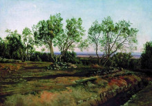 Картина "olive trees by the cemetery in albano. new moon." художника "александр иванов"