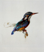 Картина "kingfisher" художника "рёскин джон"