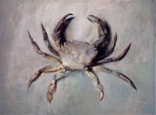 Копия картины "velvet crab" художника "рёскин джон"