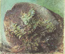 Картина "ferns on a rock" художника "рёскин джон"