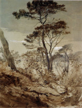 Копия картины "stone pines at sestri" художника "рёскин джон"