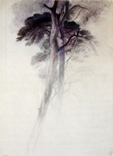 Репродукция картины "study of trees from turner" художника "рёскин джон"