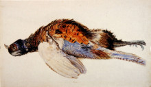 Репродукция картины "dead pheasant" художника "рёскин джон"
