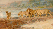Картина "on the bank of an african river" художника "ривьер брайтон"