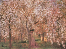 Картина "cherry tree blossoms" художника "рипль-ронаи йожеф"