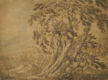 Картина "forest scene" художника "роза сальватор"