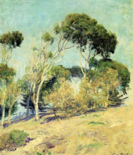 Репродукция картины "windswept trees, laguna" художника "роуз ги"