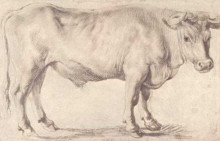 Репродукция картины "bull" художника "рубенс питер пауль"