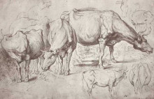 Репродукция картины "cows" художника "рубенс питер пауль"