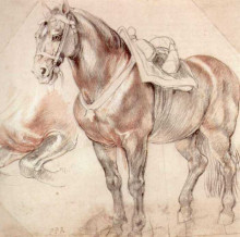 Копия картины "etude of horse" художника "рубенс питер пауль"