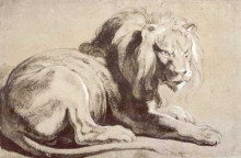 Копия картины "etude of lion" художника "рубенс питер пауль"