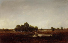 Копия картины "marsh land" художника "руссо теодор"