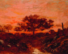 Репродукция картины "study&#160;in the forest&#160;of&#160;fontainebleau" художника "руссо теодор"