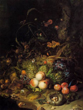 Репродукция картины "flowers, fruit, reptiles, and insects on the edge of a wood" художника "рюйш рашель"