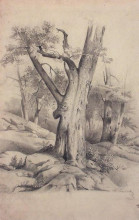 Копия картины "дуб" художника "саврасов алексей"