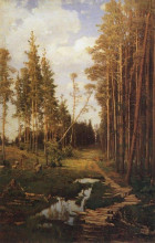 Репродукция картины "просека в сосновом лесу" художника "саврасов алексей"