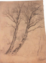 Копия картины "деревья" художника "саврасов алексей"