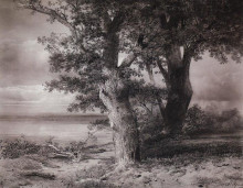 Копия картины "дубы на берегу" художника "саврасов алексей"