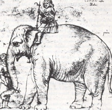 Копия картины "hanno, the pope’s leo x elephant" художника "санти рафаэль"