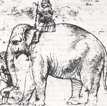 Репродукция картины "hanno, the pope’s leo x elephant" художника "санти рафаэль"