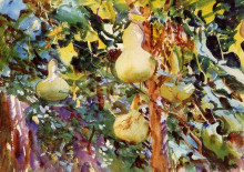 Картина "gourds" художника "сарджент джон сингер"