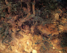 Копия картины "valdemosa, majorca thistles and herbage on a hillside" художника "сарджент джон сингер"