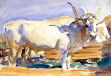 Репродукция картины "white ox at siena" художника "сарджент джон сингер"