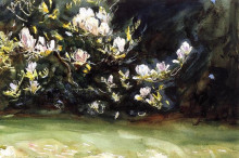 Копия картины "magnolias" художника "сарджент джон сингер"